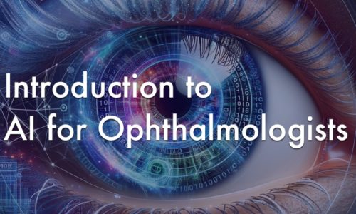 Introduction to AI for Ophthalmologists