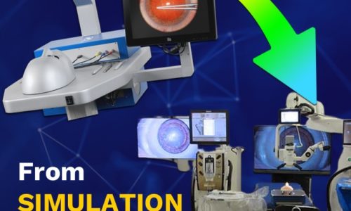 From Simulation to the OR