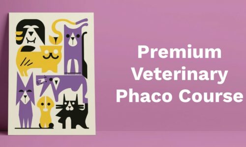 Premium Veterinary Phaco Course