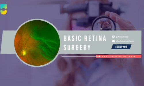 Basic Retina Surgery Course
